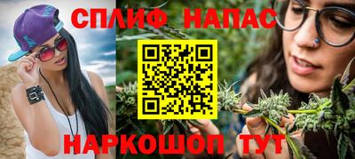 PSILOCYBIN Можга