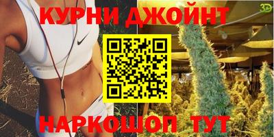 PSILOCYBIN Можга