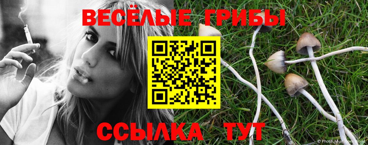 Псилоцибиновые грибы MAGIC MUSHROOMS Усолье-Сибирское