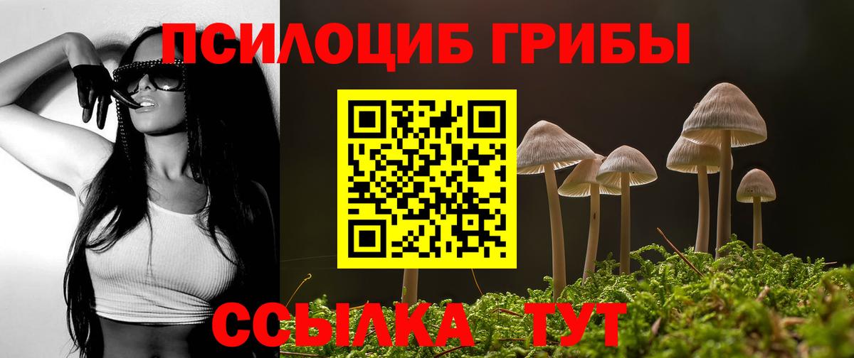 Псилоцибиновые грибы Cubensis  купить наркоту  Вход с VPN  Усолье-Сибирское  Галлюциногенные грибы мухоморы 